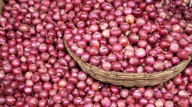 Bantul Perluas Lahan Bawang Merah 50 Hektar