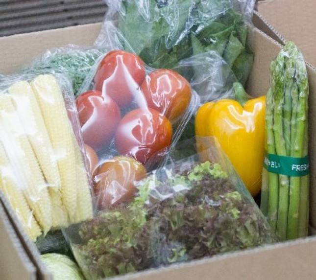 Selama Pandemi Covid 19 Belanja Sayur Bisa Dilakukan dari Rumah