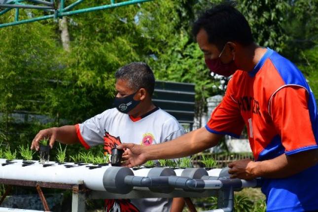 Tingkatkan Ketahanan Pangan Oleh Prajurit Batalyon Howitzer 2 Marinir 