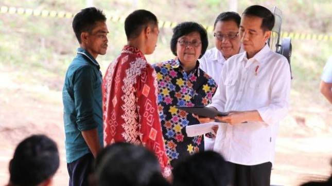 Presiden Serahkan Hutan Tanaman Rakyat kepada 7 Koperasi 