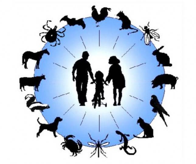 Hari Zoonosis Sedunia, Kementan Adakan Kegiatan Sosialisasi Digital