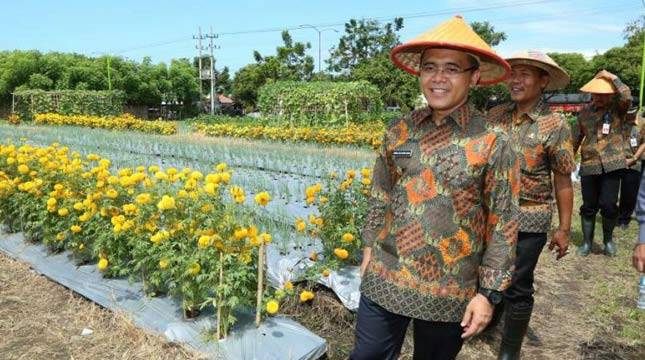 Bupati Azwar Anas Terima Penghargaan Keberhasilan Sentra Pertanian