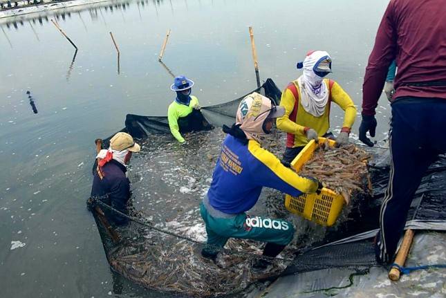 Perum Perindo Gandeng BKIPM Jaga Mutu dan Kualitas Perikanan