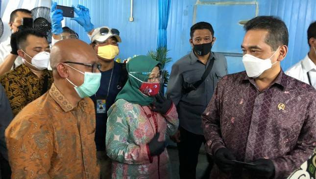 Mulai Berjalan, Sistem Resi Gudang Ayam Karkas Beku Jadi Angin Segar Bagi Peternak Ayam