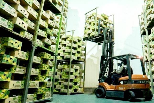Pemerintah Optimalkan INSW Percepat Layanan Ekspor Impor dan Logistik