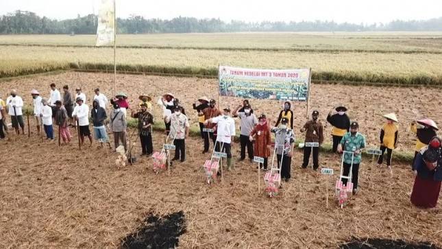 Wow, Cilacap Perluas Areal Tanam Kedelai