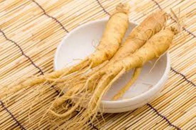 Ginseng Korea Juga Berkhasiat Lancarkan Saluran Pernafasan