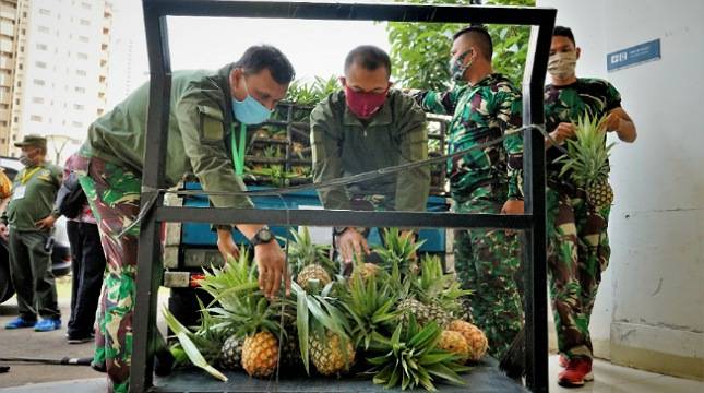 Koperasi PSSM Subang Salurkan 1,4 Ton Nanas untuk Tenaga Kesehatan dan Relawan Covid-19 di Wisma Atlet