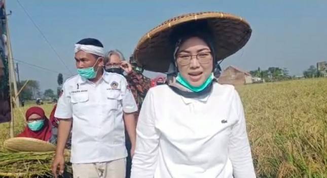 Hari Tani Nasional 2020, Bupati Purwakarta Apresiasi Program Terobosan Kementan