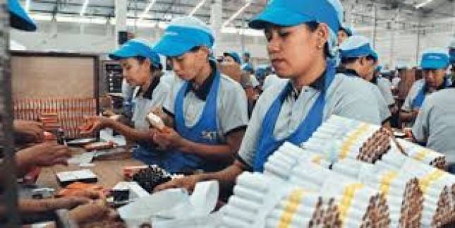 Waduh Gawat! Jutaan Buruh Linting Rokok Bakal Terancam PHK Gara-gara Kebijakan Ini