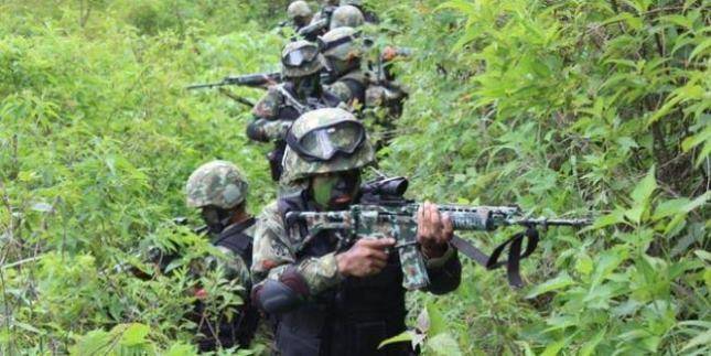  Satu Anggota KKSB Papua Tewas, Penindakan Tim Gabungan TNI-Polri