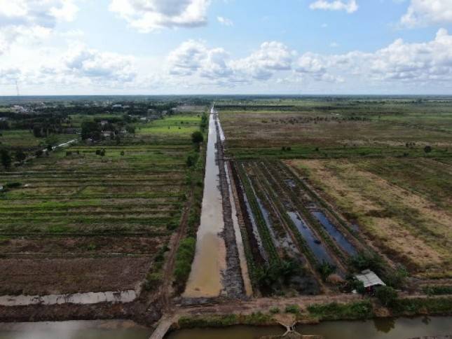 Hutama Karya Dukung Pengembangan Food Estate Kalimantan Tengah