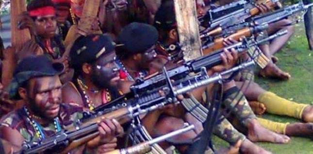 Kelompok Teroris OPM Kembali Bikin Ulah! Bakar Gedung Sekolah Hingga Puskesmas di Ilaga Papua