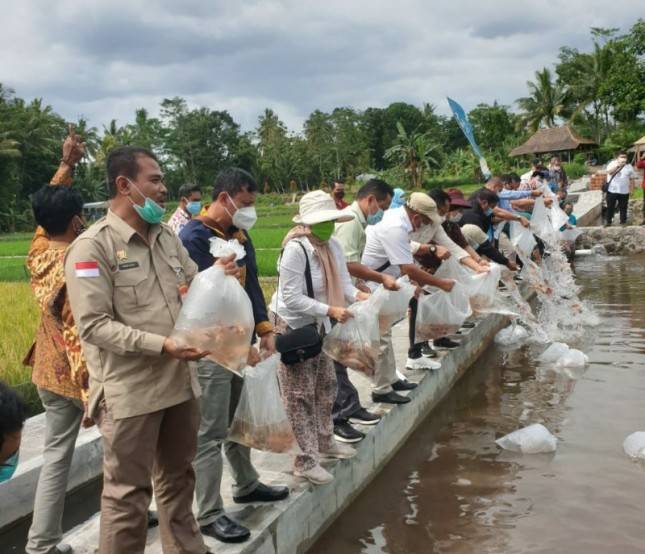 Komisi IV DPR dan Kementan Ingin Sleman Menjadi Model Pembudidayaan