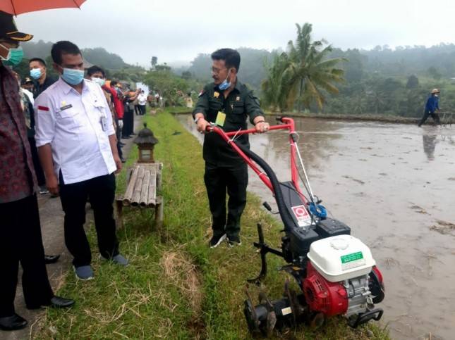 Gairahkan Agrowisata Jatiluwih, Mentan SYL Dorong Mina Padi