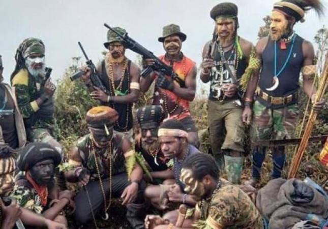 IPW Desak Kapolri Listyo Sigit Prabowo Perintahkan  Personel Satgas Operasi Nemangkawi Terus Buru Kelompok Kriminal Bersenjata (KKB) di Papua