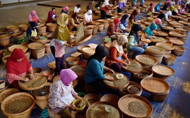 Legislator Ini Dorong Kemenperin Perkuat Teknologi Pascapanen Kopi Petani