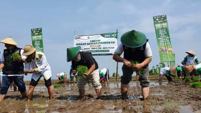 Gebyar Tanam Padi, Upaya Tingkatkan Kesejahteraan Petani