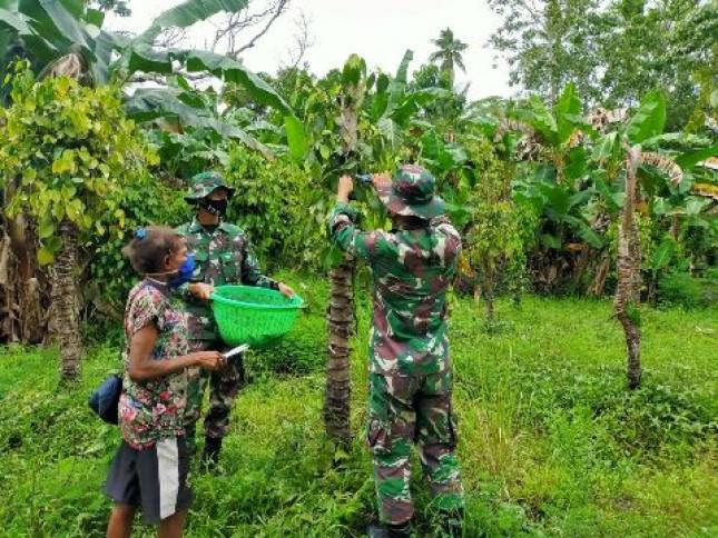 Prajurit Satgas Yonif 125 Meraukee Bersama  Warga Panen Merica