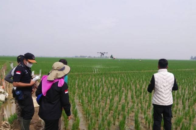 Bukan Kaleng-kaleng Petani Handal Gunakan Drone Basmi Hama