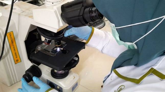 Luar Biasa! Laboraturium Karantina Pertanian Kembali Raih Pengakuan Internasional