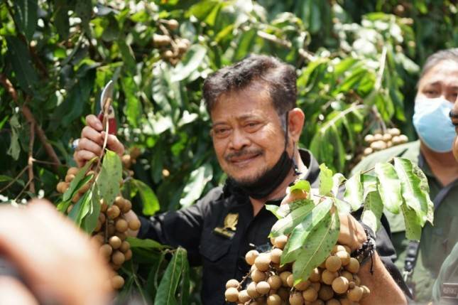 Agro Wisata Borobudur Bisa Nyicipin Kelengkeng, Loh!