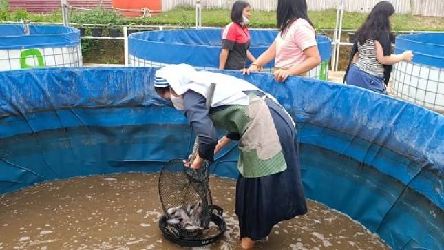 Ini Contoh Sukses Budidaya Ikan Sistem Bioflok, Minim Penggunaan Lahan dan Hemat Air