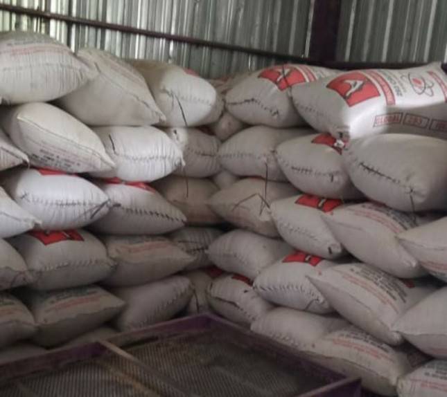 Dahsyat, Kostraling Jambi Siap Serap Gabah Kering Panen Petani 8.000 Ton