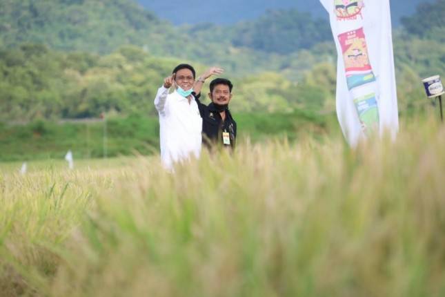 Panen Padi di Barru, Mentan SYL Bersama Mitra Tancap Gas Serap Gabah Petani
