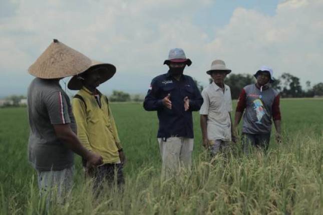 Sahabat Petani, Upaya Pupuk Indonesia  Lebih Dekat dengan Pelanggan