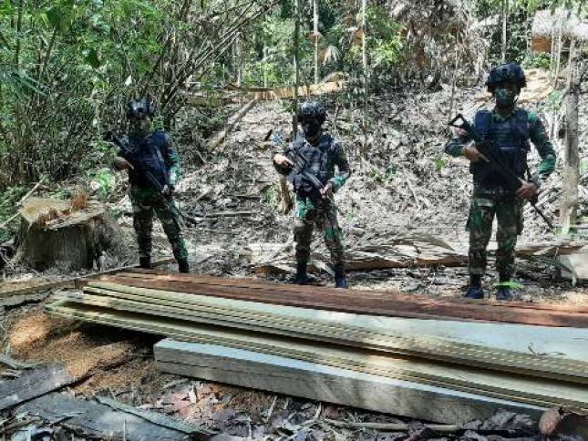 Satgas Pamtas Yonif 642 Kapuas Amankan Kayu Ilegal di Wilayah Perbatasan