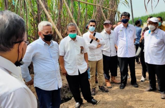 Tolong Catat! PTPN Group Bakal Produksi 1,8 juta ton Gula di Tahun 2024