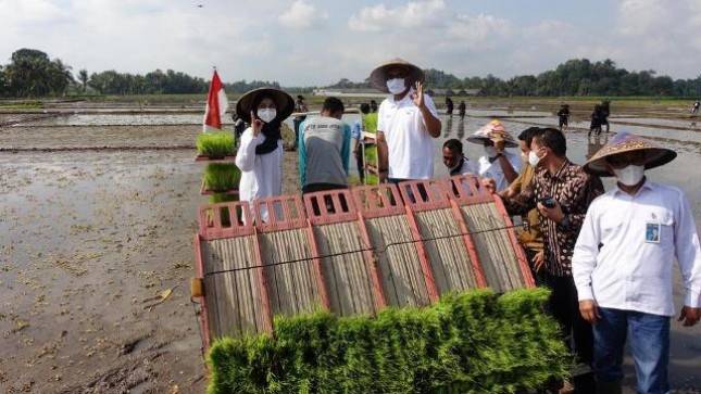  Program Agro Solution Terus  Ditingkatkan Pupuk Indonesia Persero