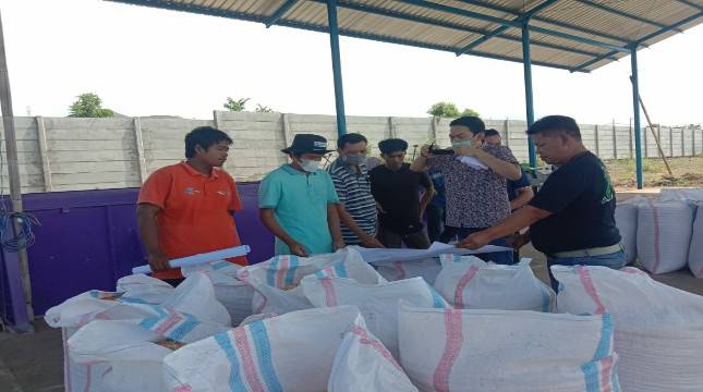 Dukung Kementan, Miwon Gandeng Pengusaha Jagung Rendah Aflatoksin