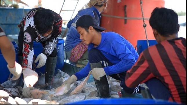 Senyum Poklahsar Sampang, Naik Omzet Berkat Cold Storage Portable Bantuan KKP