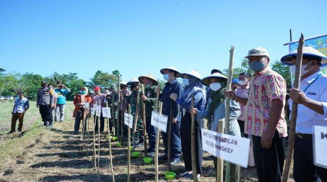 Berprospek Pasar Tinggi, Bupati Pangkep Lakukan Gerakan Tanam Kacang Hijau