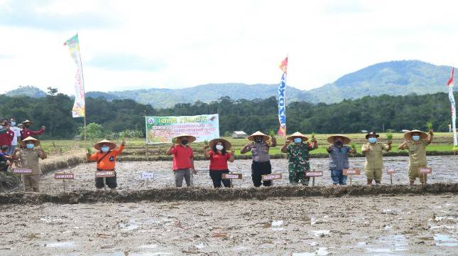 Program Kementan Penangkaran Benih Membuat Petani Landak Lebih Mandiri
