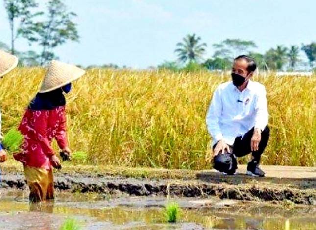 Dahsyat! Gelontorkan Rp118 Triliun untuk Pertanian! Sri Mulyani: Ini Bukti Pak Jokowi Ingin Petani Sejahtera dan Maju 