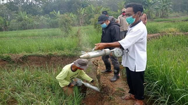 Respon Cepat, Kementan Kawal Petani Purwakarta Kendalikan Tikus
