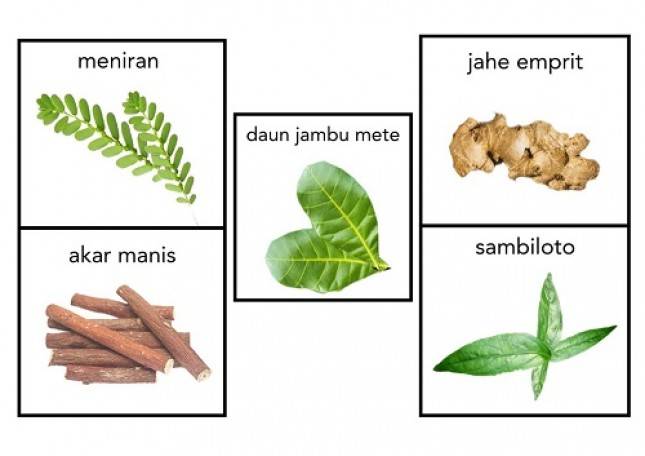 Patut Dicatat! Ada 5 Herbal Alami Indonesia yang Dapat Membantu Menjaga Imun Tubuh
