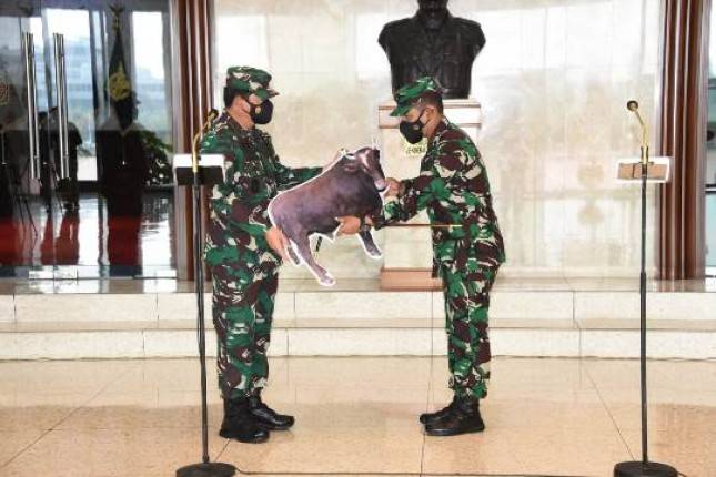 Panglima TNI Marsekal Hadi Tjahjanto Serahkan Hewan Qurban Secara Simbolis