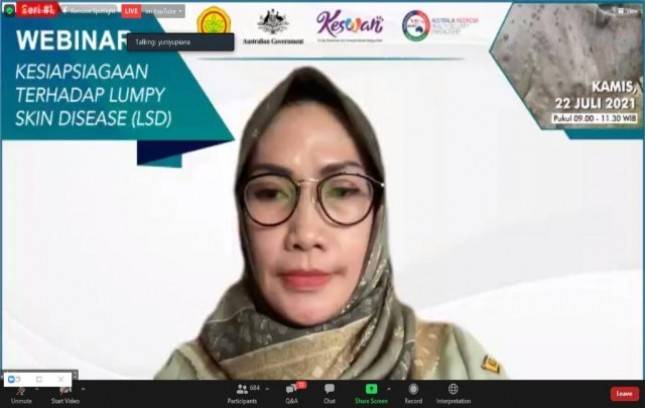 Kementan tingkatkan kesiapsiagaan hadapi ancaman masuknya penyakit hewan LSD 