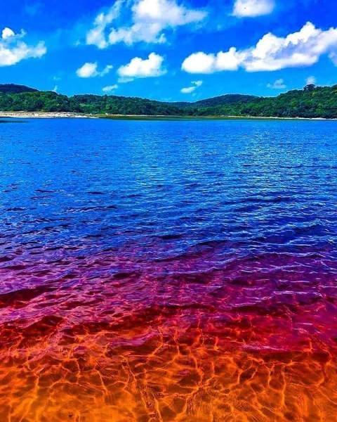 Pantai Unik di Brasil, Air Lautnya Seperti Coca Cola