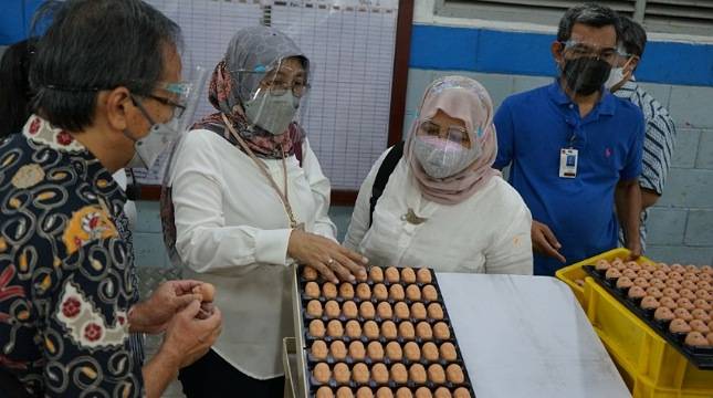 Pantau Prokes, Kemenperin Blusukan ke Dua Pabrik Sektor IKMA di Cikarang