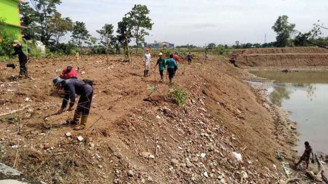KIIC Lakukan Normalisasi dan Penanaman Pohon di Sungai Kalikalapa 