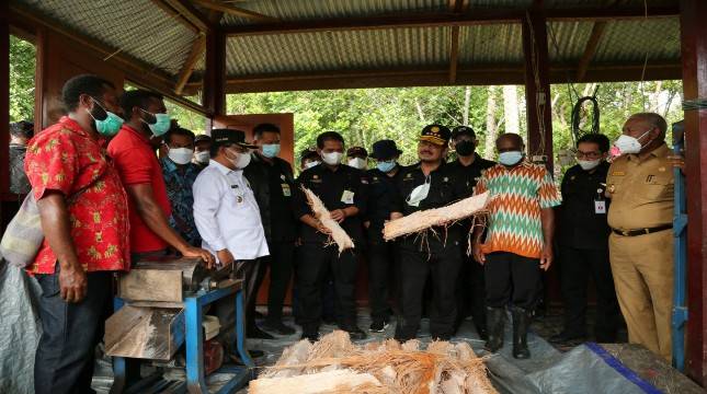 Bangun Pertanian di Ujung Indonesia, Senator Papua Apresiasi Jajaran Kementan