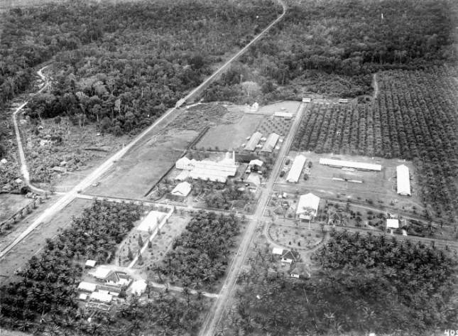 Dahsyat, Didirikan Zaman Belanda Tahun 1930,  Namun Pabrik Karet PTPN VII Unit Tulungbuyut Ini Bisa Juara !