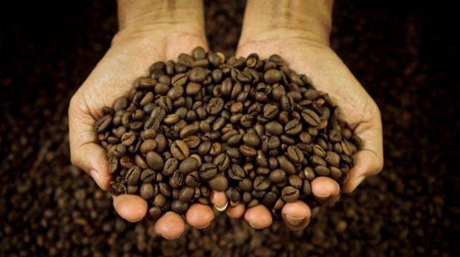 Kopi RI Laris di Thailand! Raup Potensi Transaksi Rp66 Miliar di World of Coffee Bangkok 2026