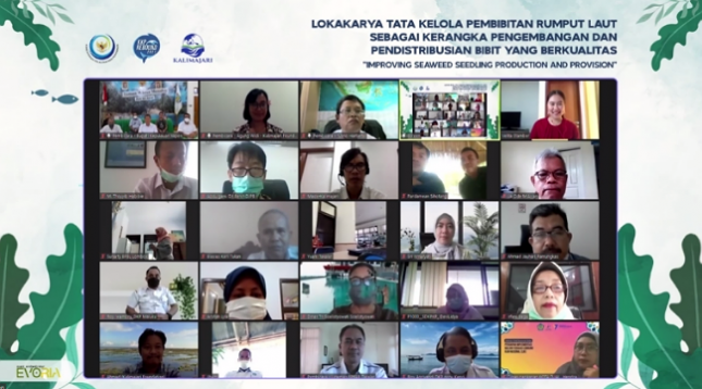 Gandeng KKP, Yayasan Kalimajari Dorong Masyarakat Pesisir Indonesia Tingkatkan Produktivitas Budidaya Rumput Laut