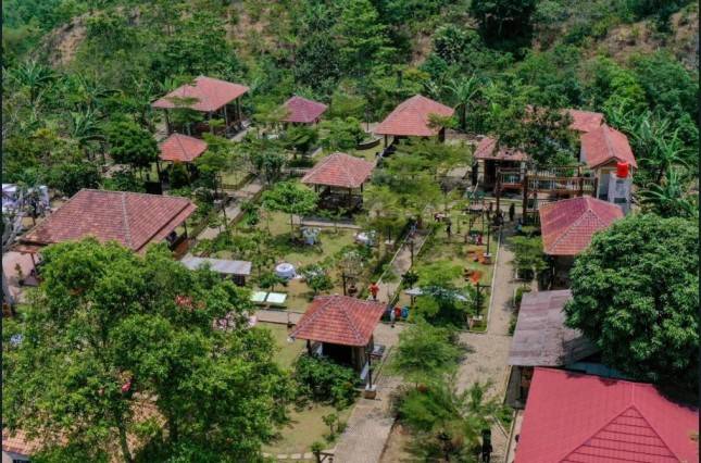 Bisa Belajar Tentang Kopi dan Budaya, Yuk! Berkunjung ke Desa Wisata Rigis, Lampung